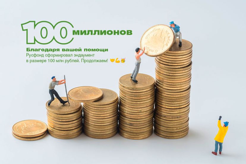 Эндаумент Русфонда превысил 100 млн руб.
